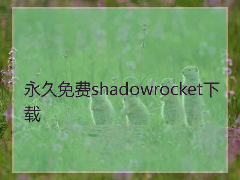 永久免费shadowrocket下载