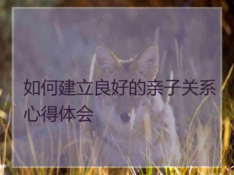 如何建立良好的亲子关系心得体会