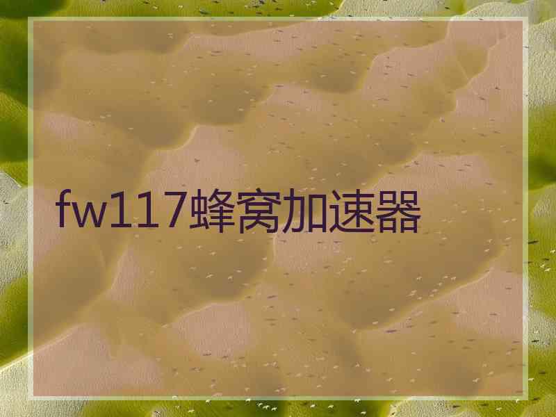 fw117蜂窝加速器