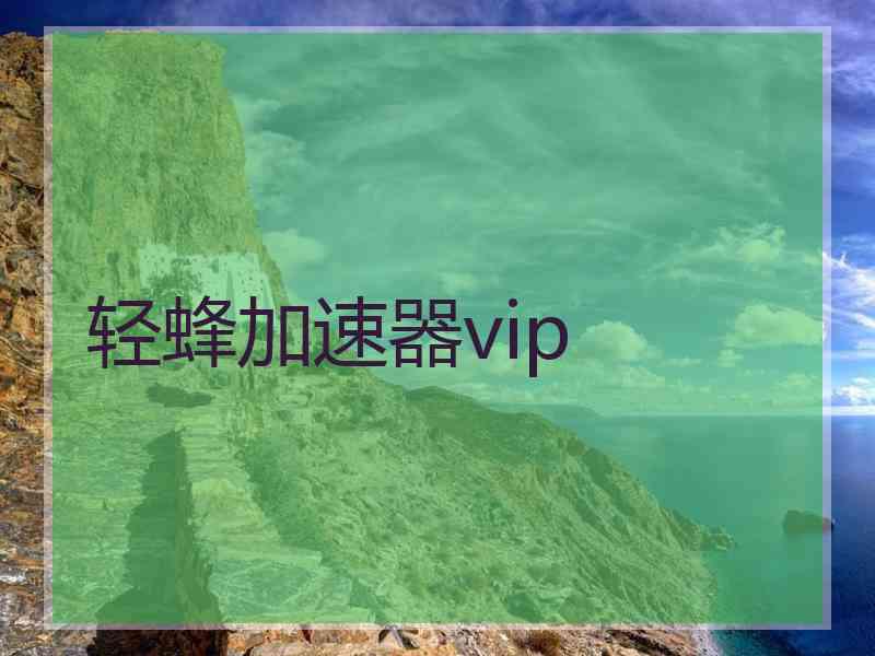 轻蜂加速器vip