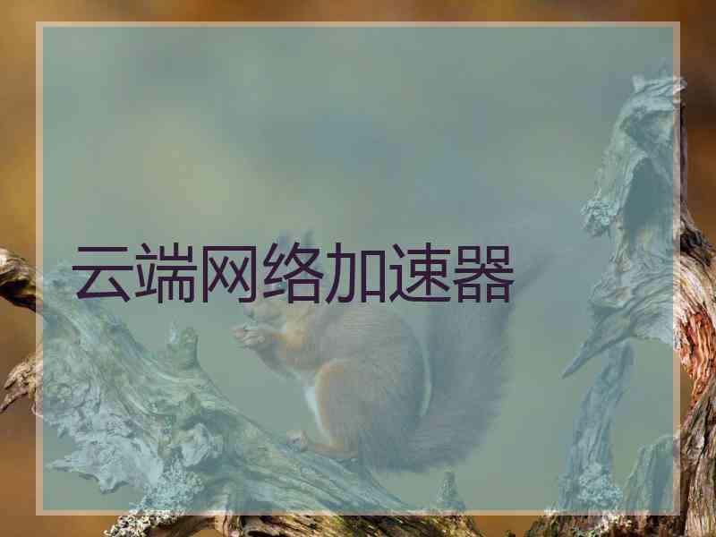 云端网络加速器