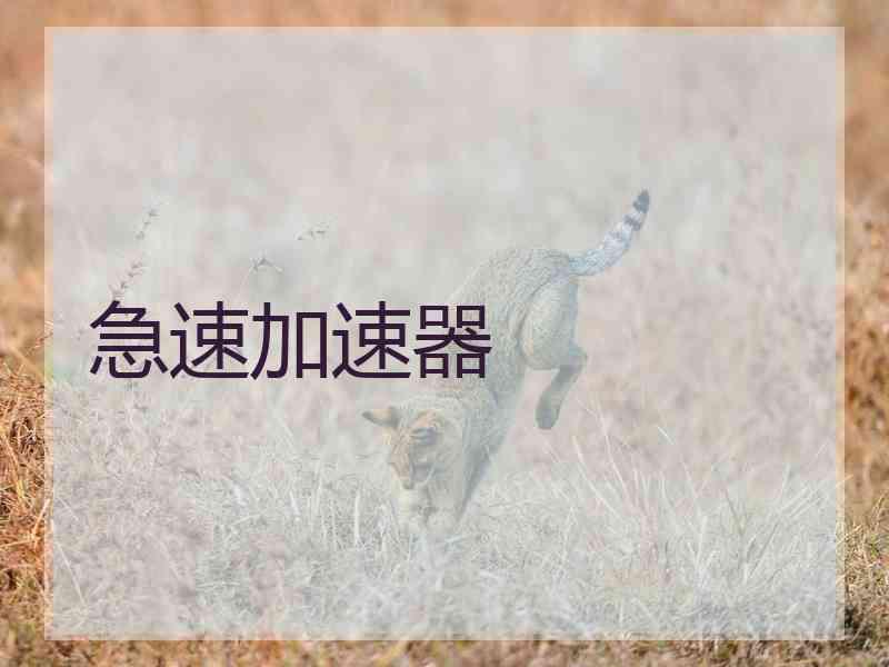 急速加速器
