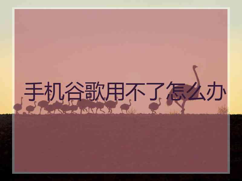 手机谷歌用不了怎么办
