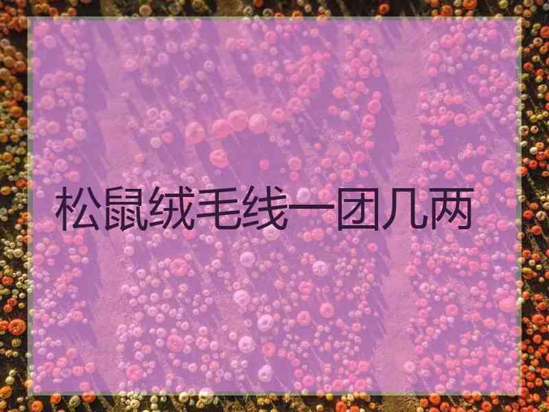 松鼠绒毛线一团几两