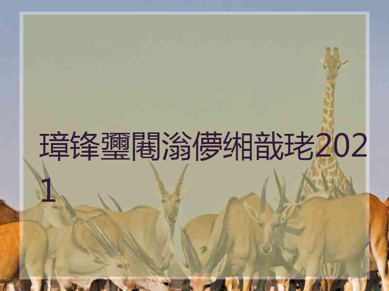 璋锋瓕闀滃儚缃戠珯2021