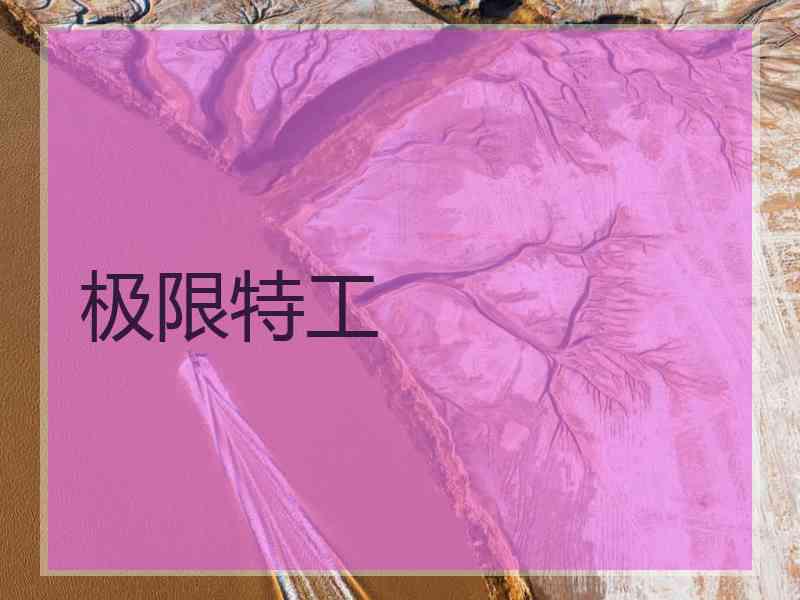 极限特工