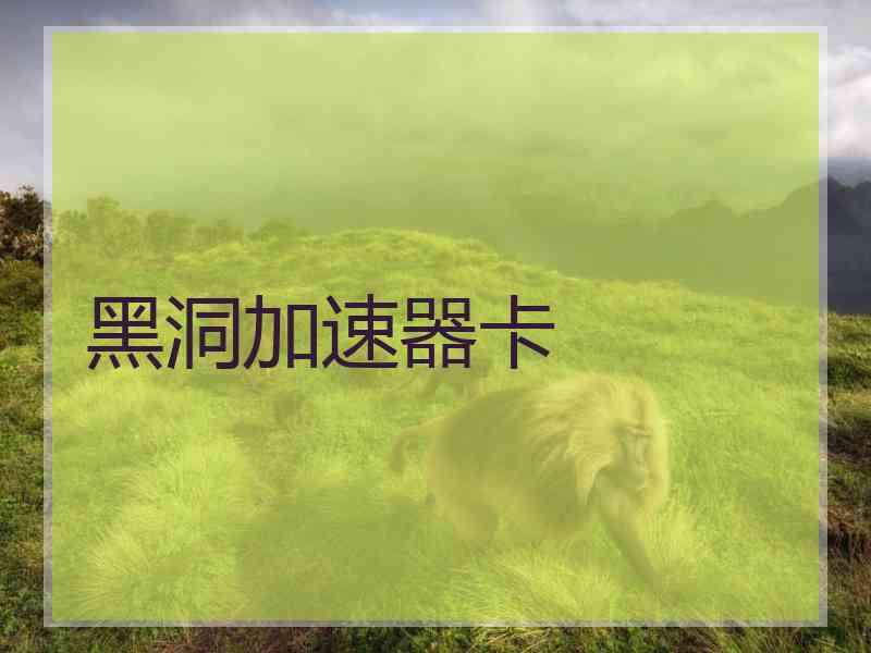 黑洞加速器卡