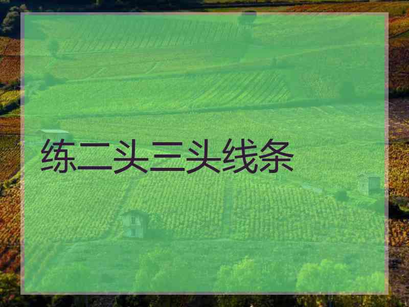练二头三头线条