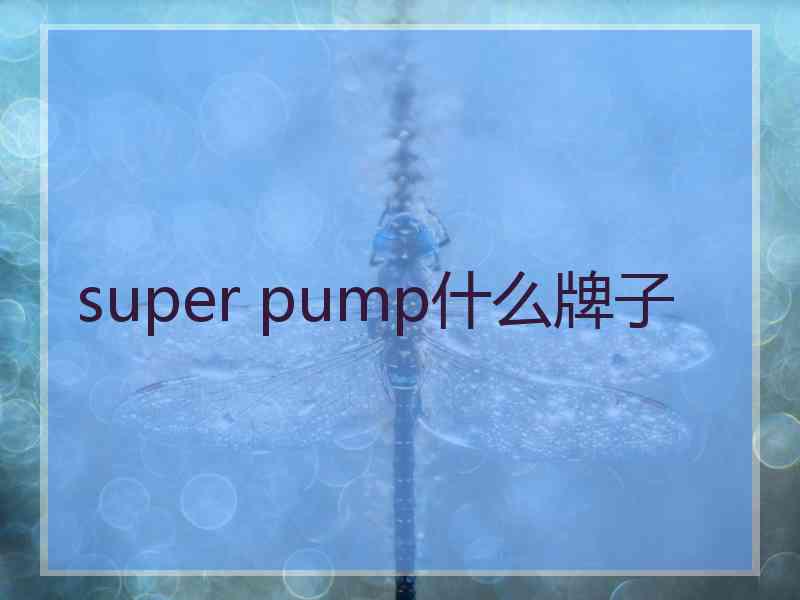 super pump什么牌子