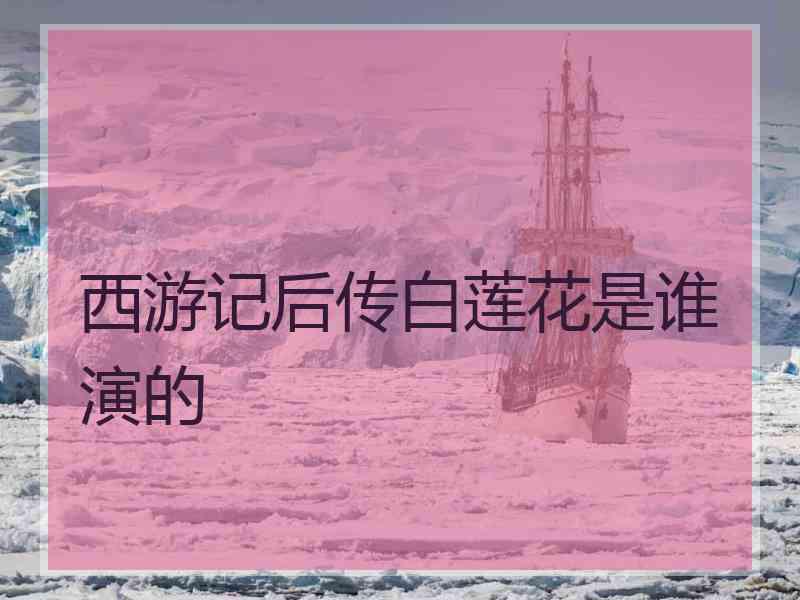 西游记后传白莲花是谁演的
