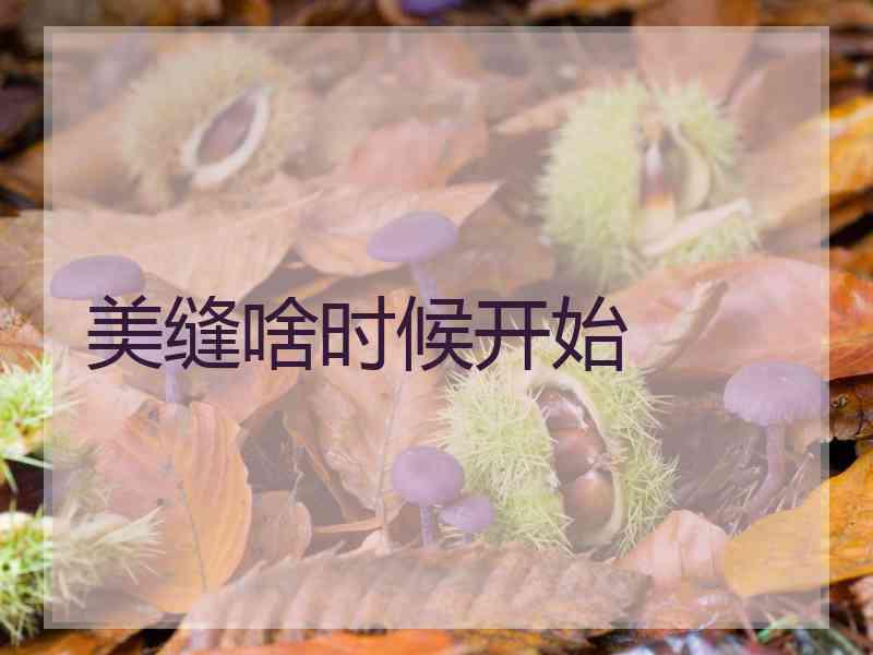 美缝啥时候开始