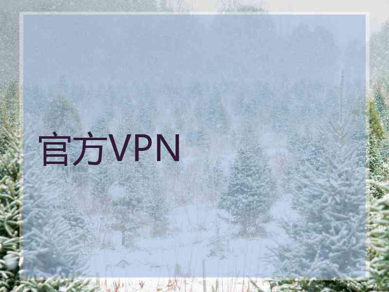 官方VPN