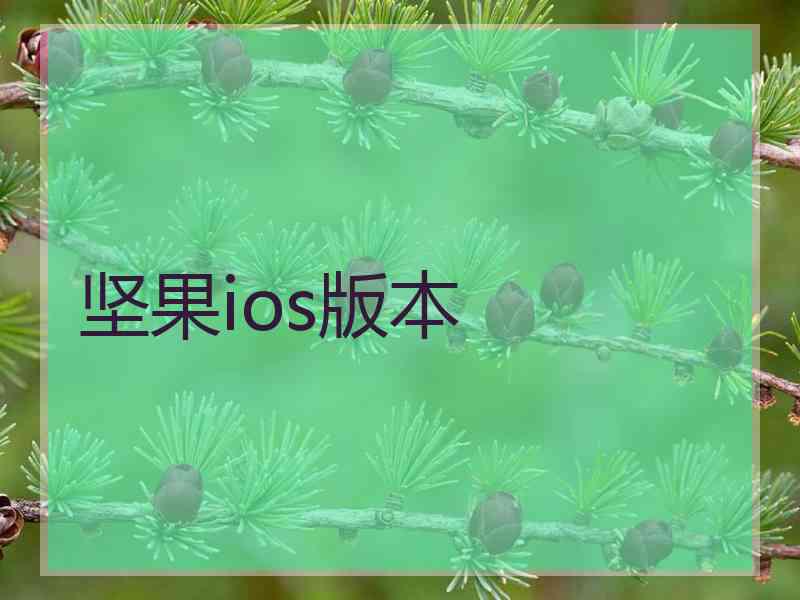 坚果ios版本