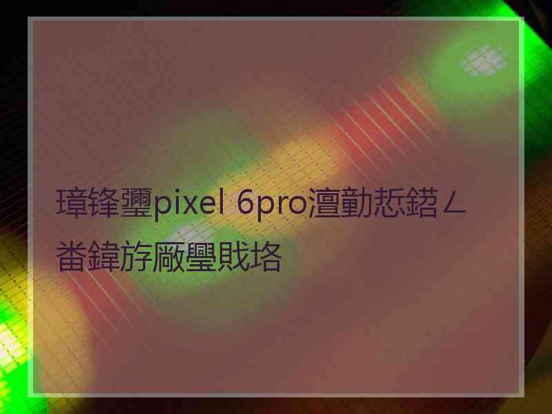 璋锋瓕pixel 6pro澶勭悊鍣ㄥ畨鍏斿厰璺戝垎