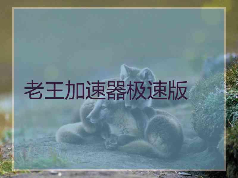 老王加速器极速版
