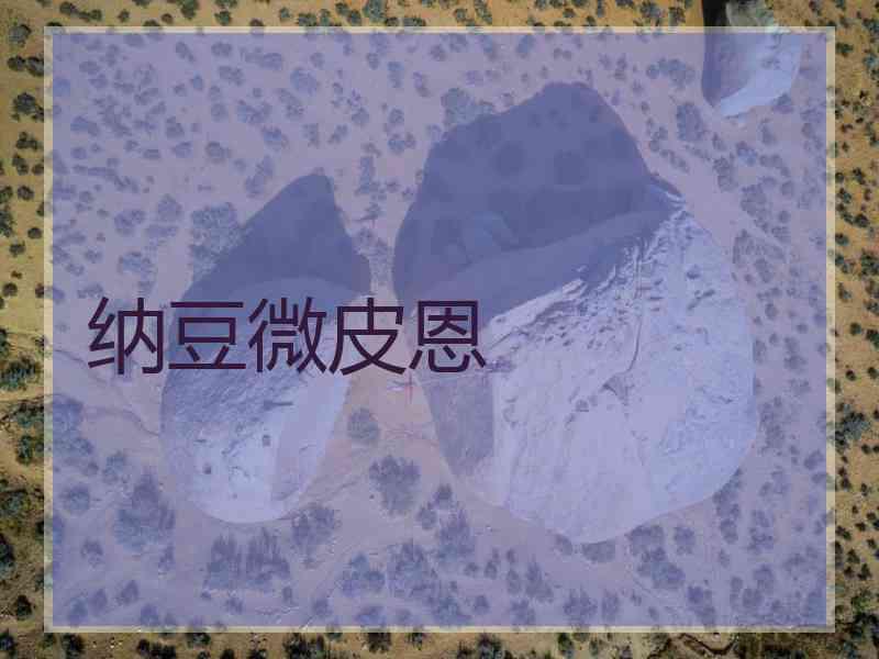 纳豆微皮恩