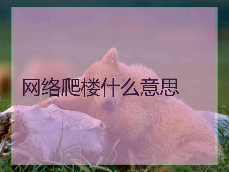 网络爬楼什么意思