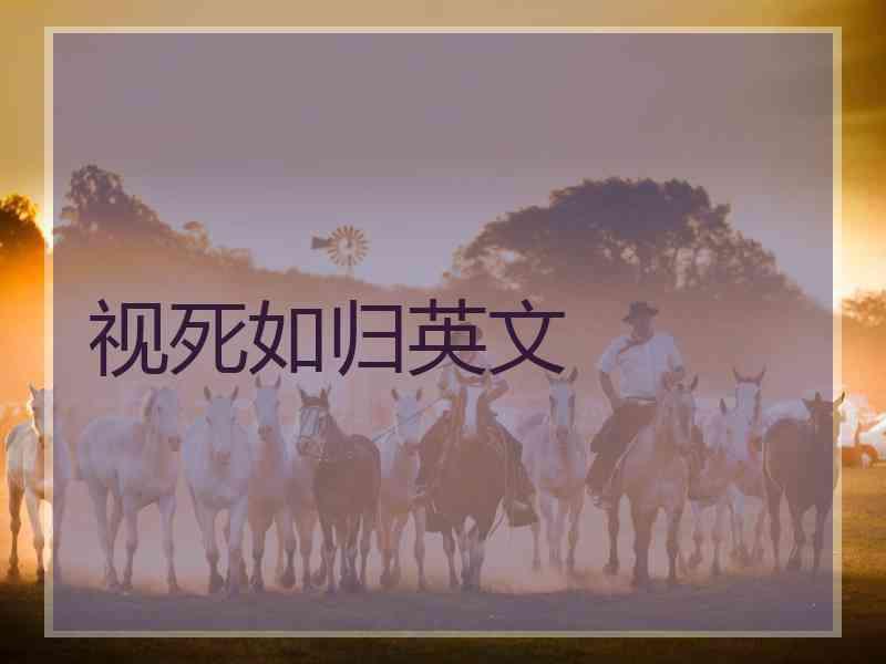视死如归英文