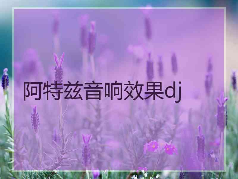 阿特兹音响效果dj