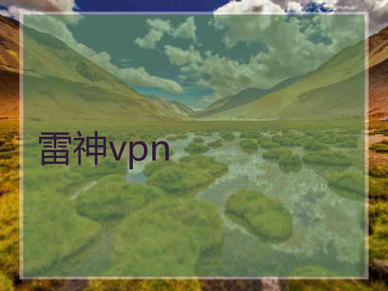 雷神vpn