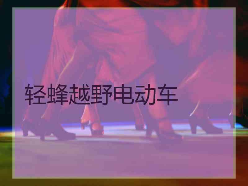 轻蜂越野电动车