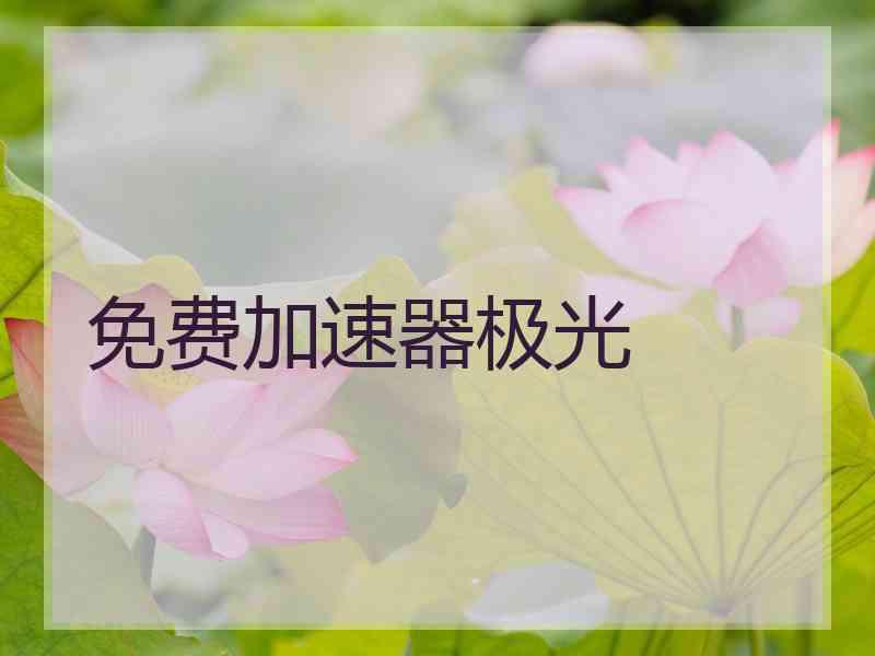 免费加速器极光