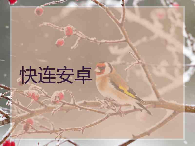 快连安卓
