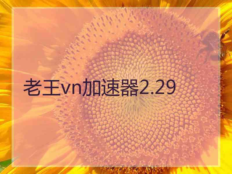 老王vn加速器2.29
