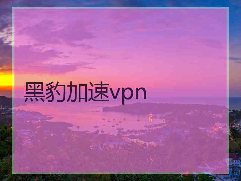 黑豹加速vpn