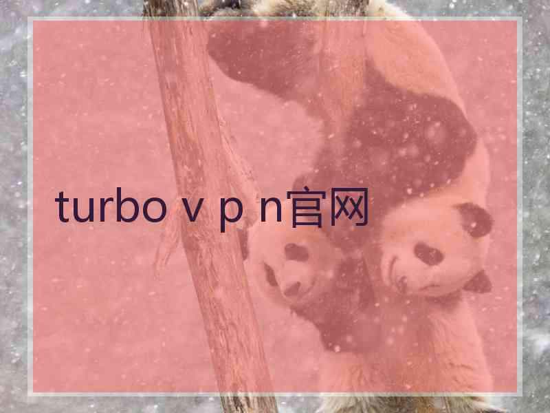 turbo v p n官网