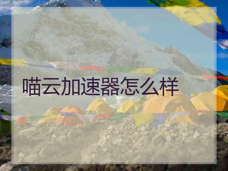 喵云加速器怎么样