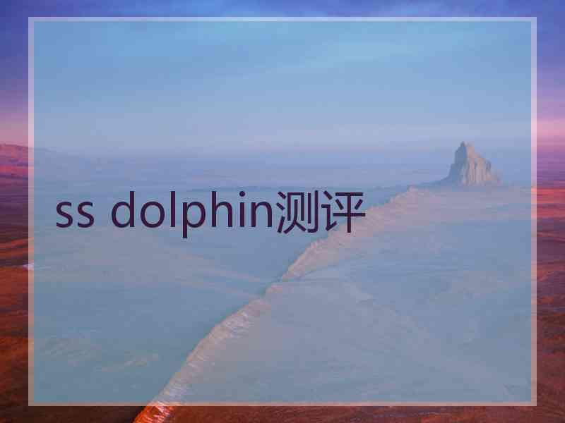 ss dolphin测评