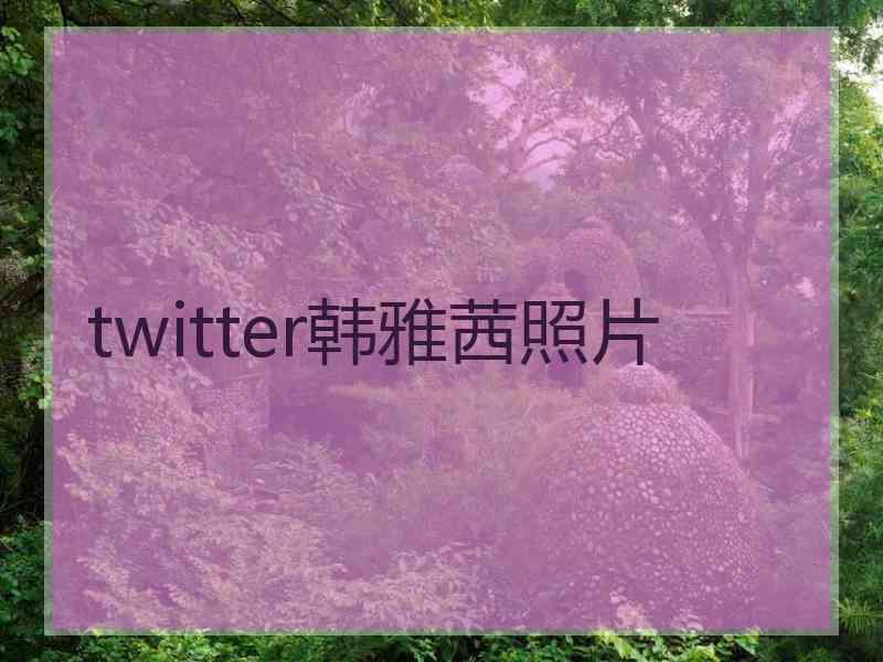 twitter韩雅茜照片