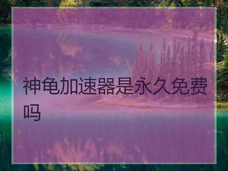 神龟加速器是永久免费吗