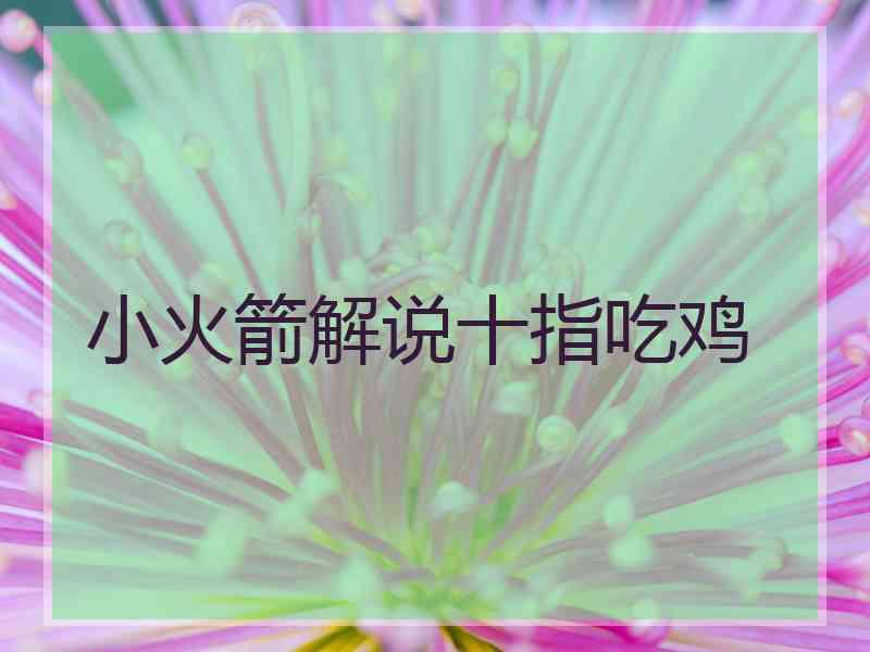 小火箭解说十指吃鸡