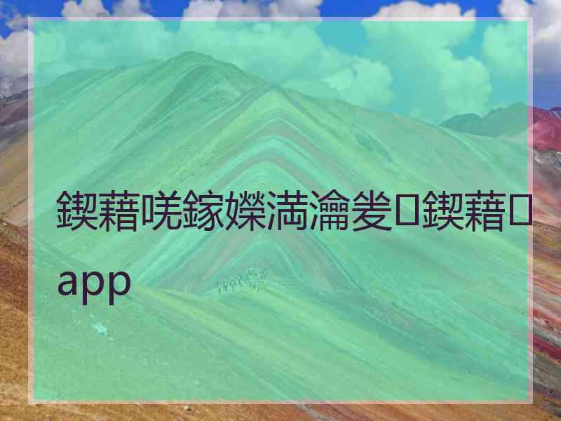 鍥藉唴鎵嬫満瀹夎鍥藉app