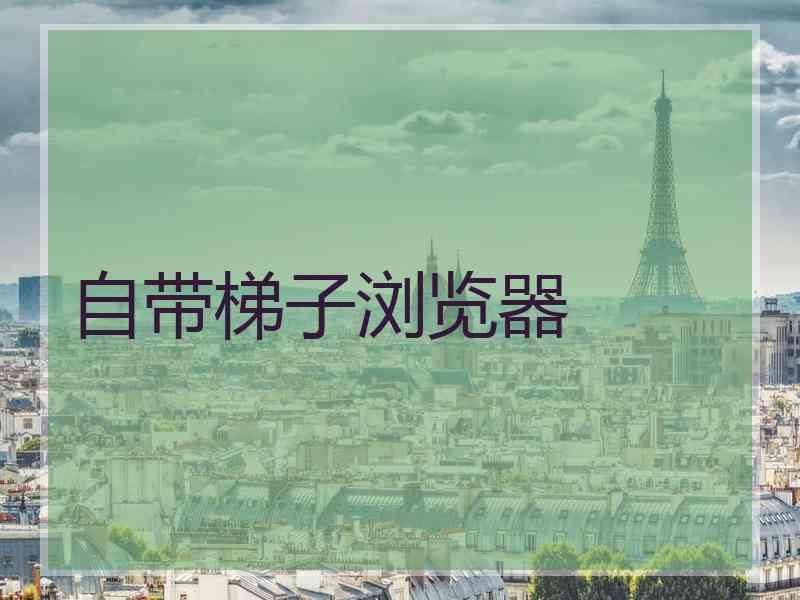 自带梯子浏览器