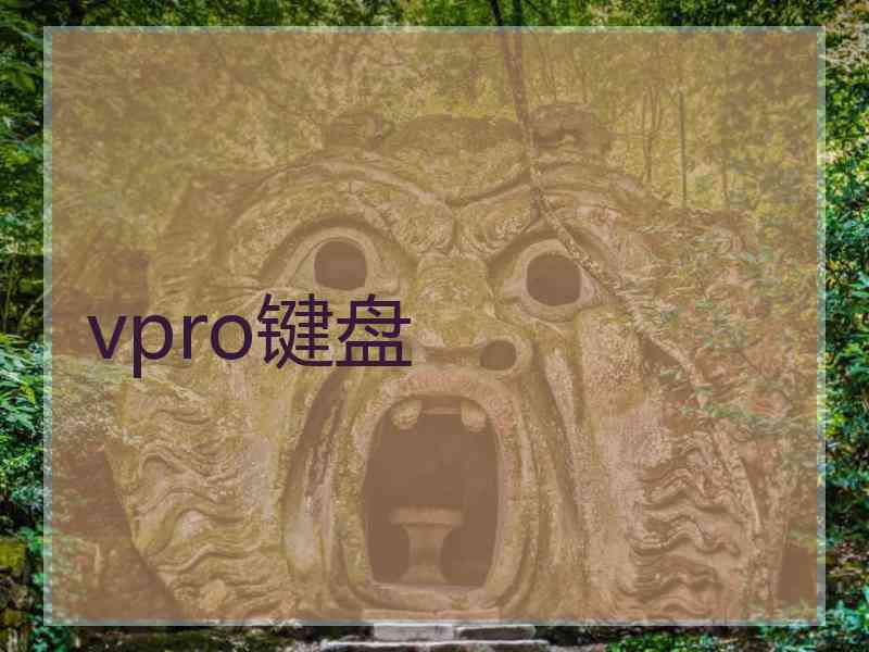 vpro键盘