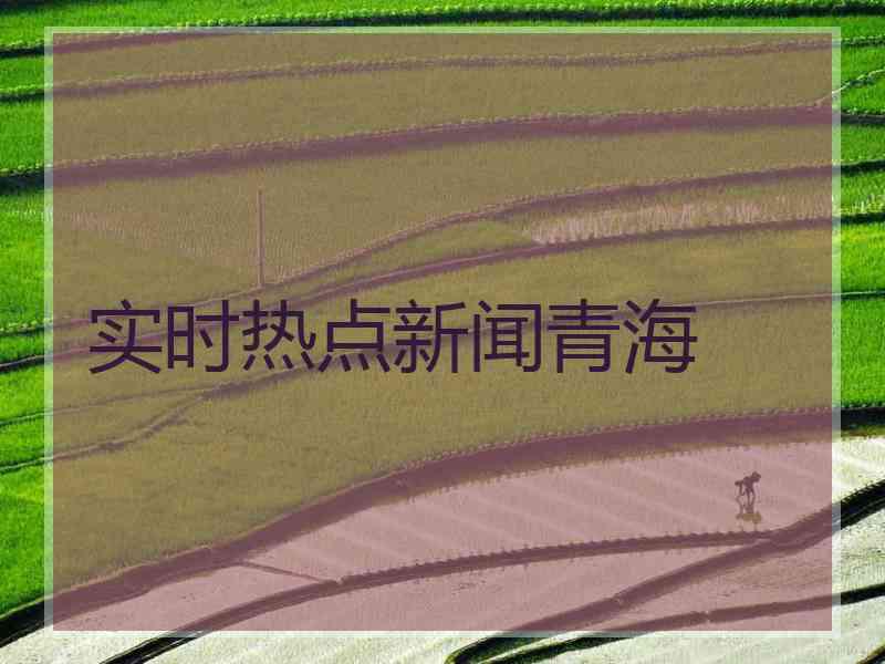 实时热点新闻青海