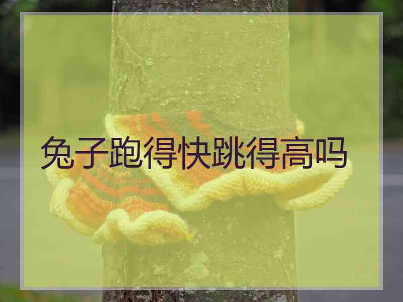 兔子跑得快跳得高吗