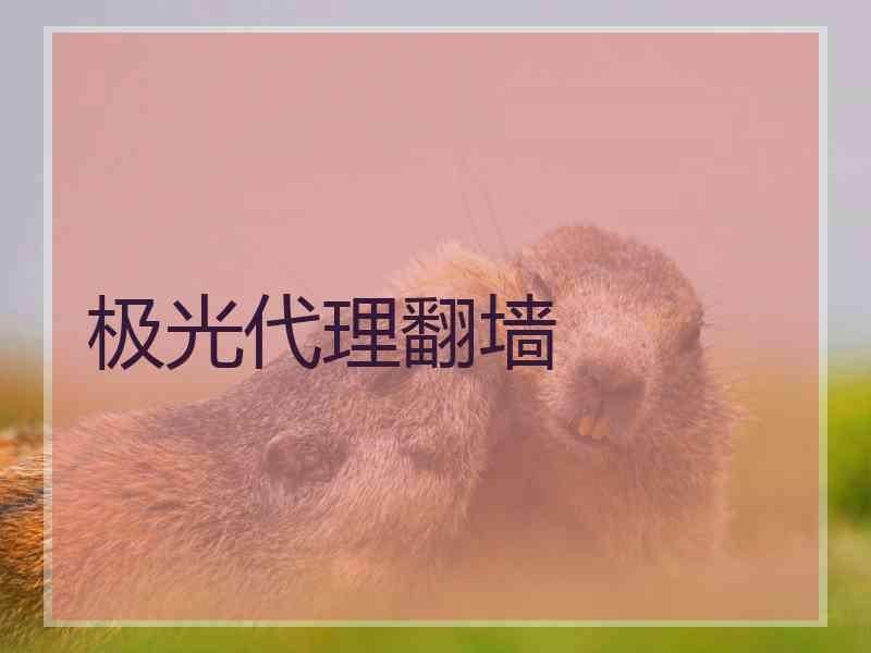 极光代理翻墙