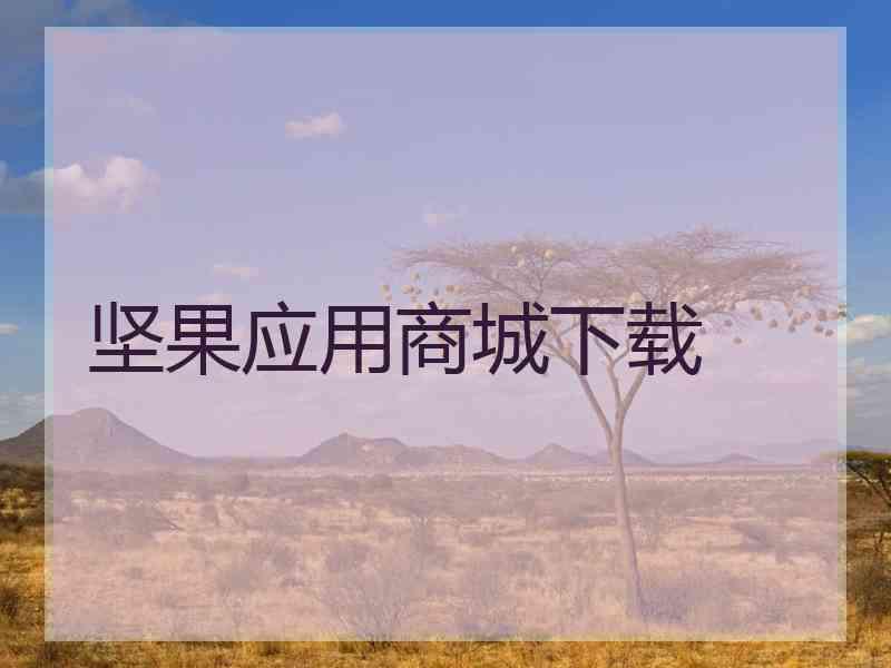 坚果应用商城下载