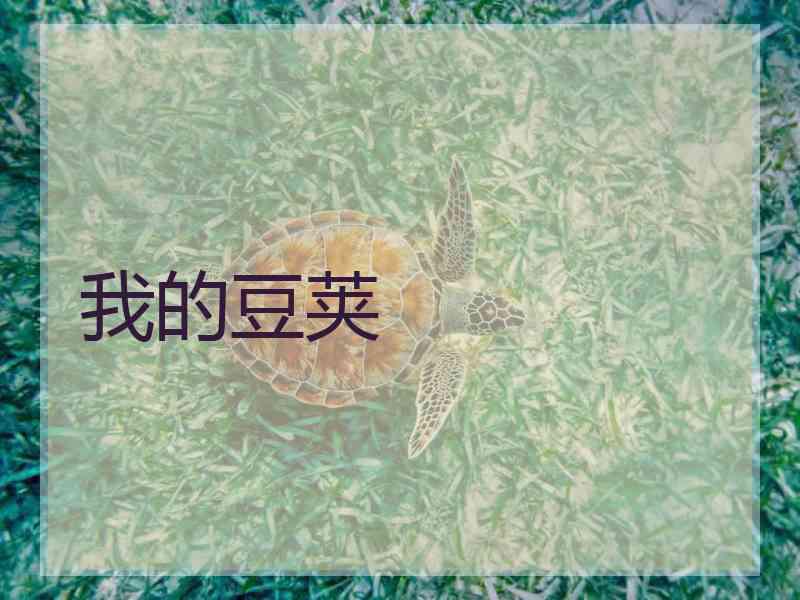 我的豆荚