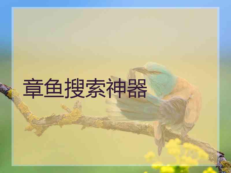 章鱼搜索神器