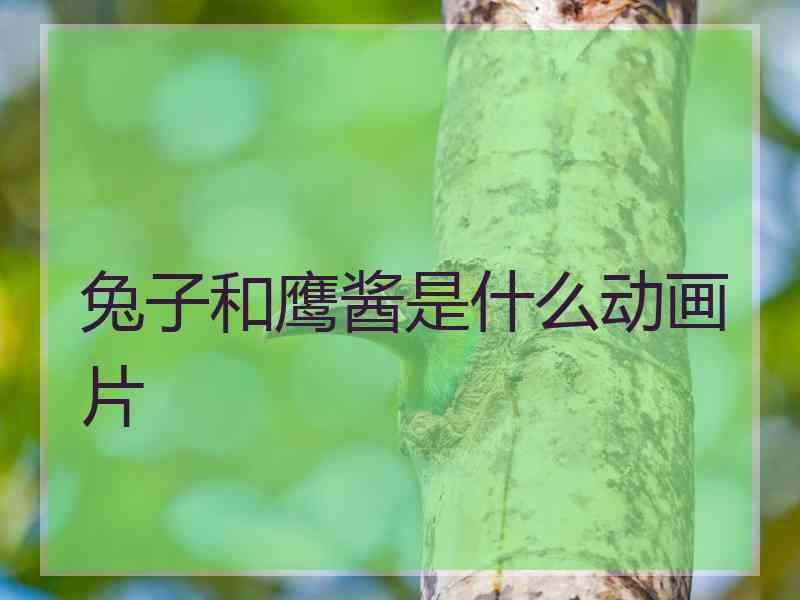 兔子和鹰酱是什么动画片