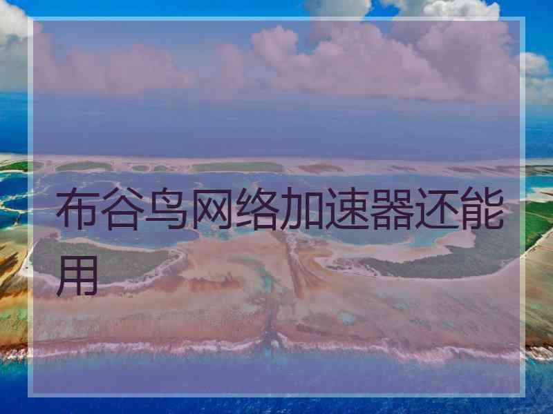 布谷鸟网络加速器还能用