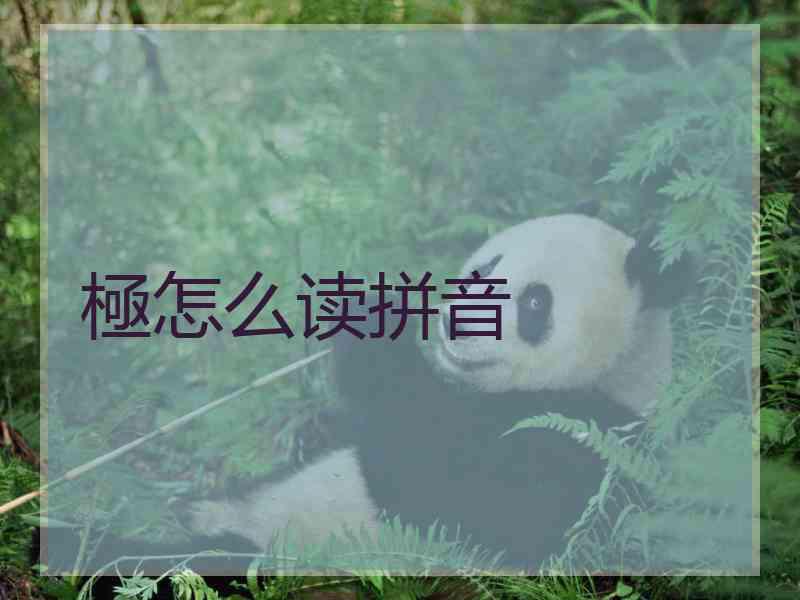 極怎么读拼音
