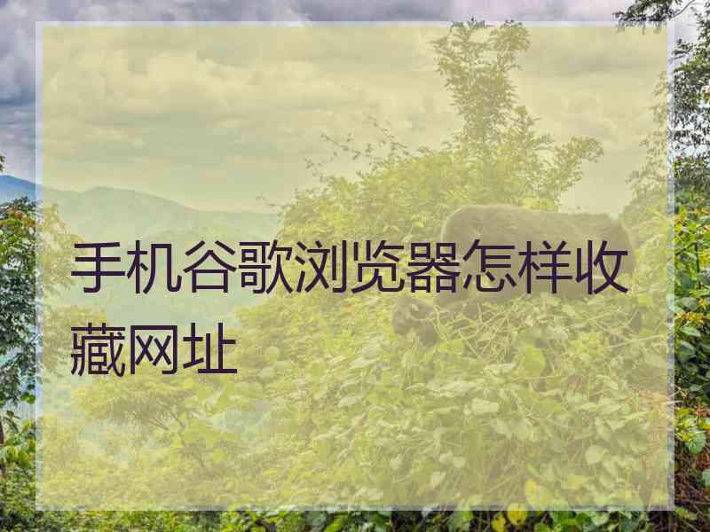 手机谷歌浏览器怎样收藏网址