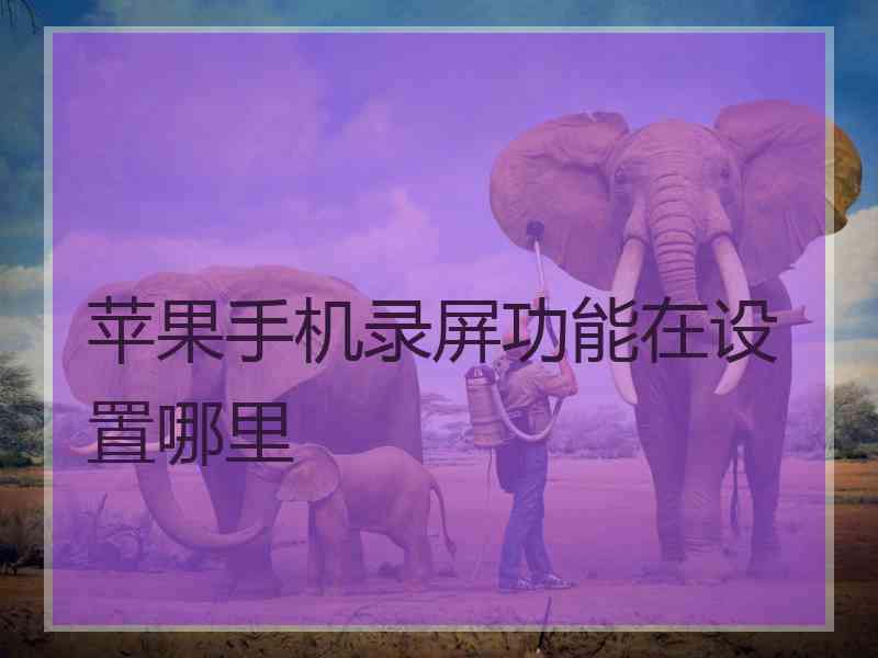 苹果手机录屏功能在设置哪里