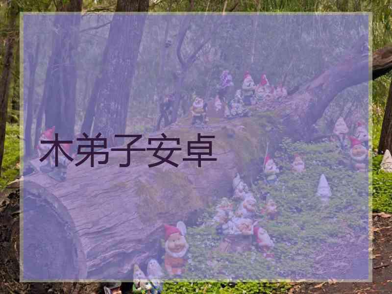 木弟子安卓